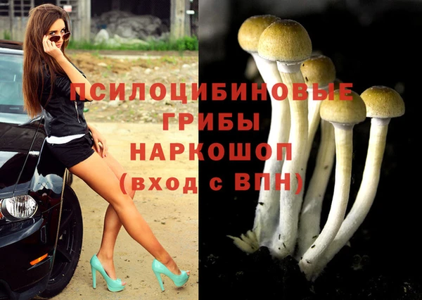экстази Краснослободск